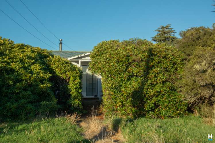 829 Nelson Creek Road Hochstetter_24