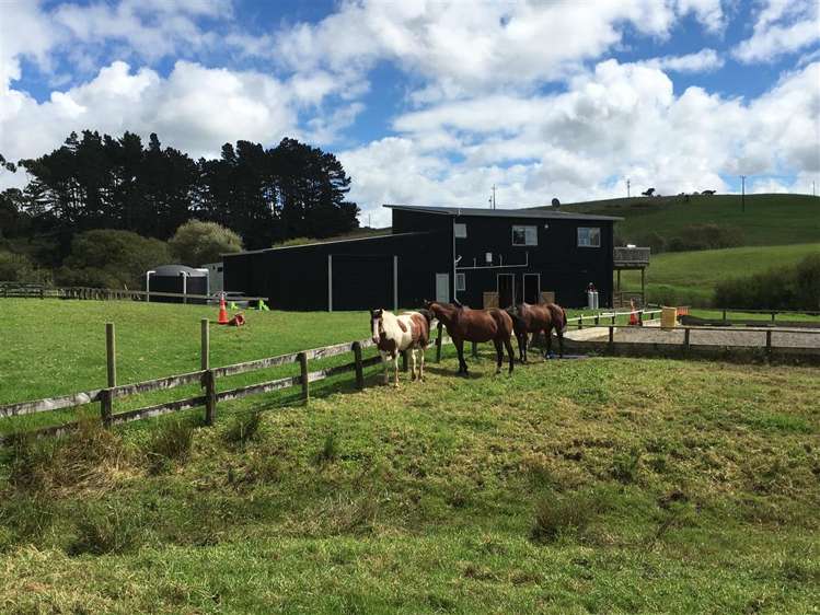 358a Horseshoe Bush Road Dairy Flat_21