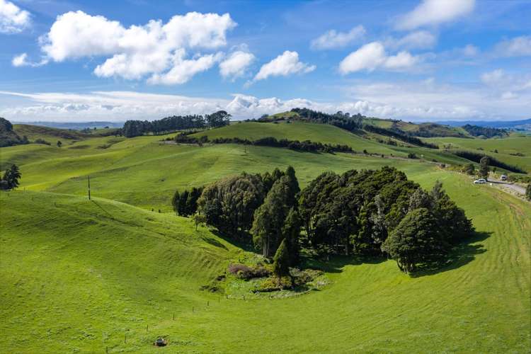554 Maungatawhiri Road (bare block) Raglan_12
