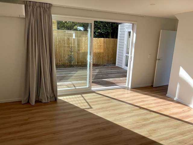 135A Simeon Street Spreydon_4