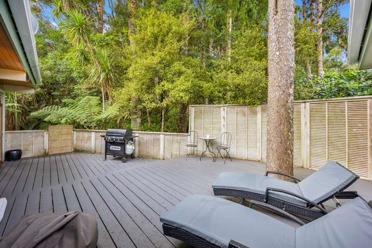 7 Waima Crescent Titirangi_13