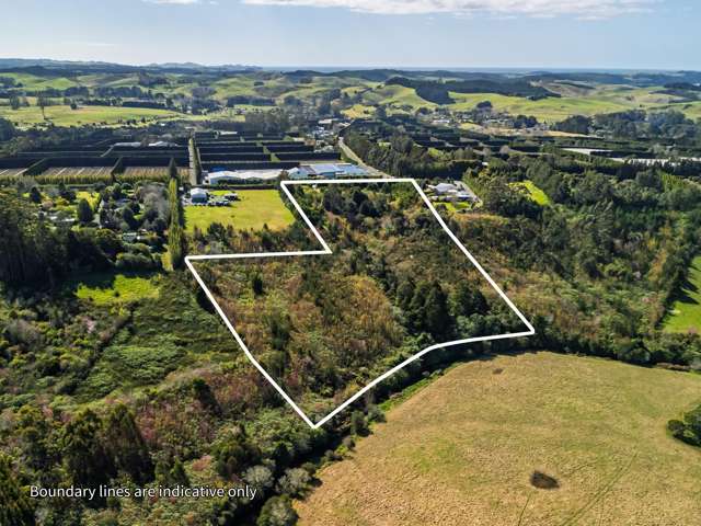 Lot 1/332 Kapiro Road Kerikeri_1
