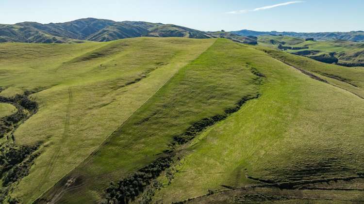 324 Reeces Road Omihi_11