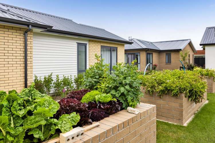 47-61 Puriri Street Hawera_22