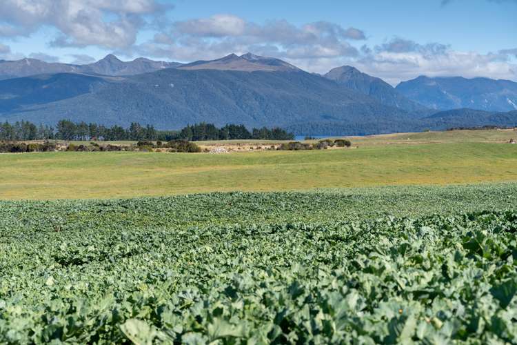 162 Sinclair Road Te Anau_6