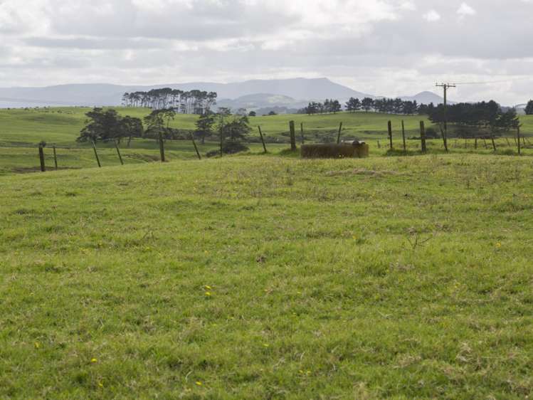 108 Baylys Coast Road Dargaville_16