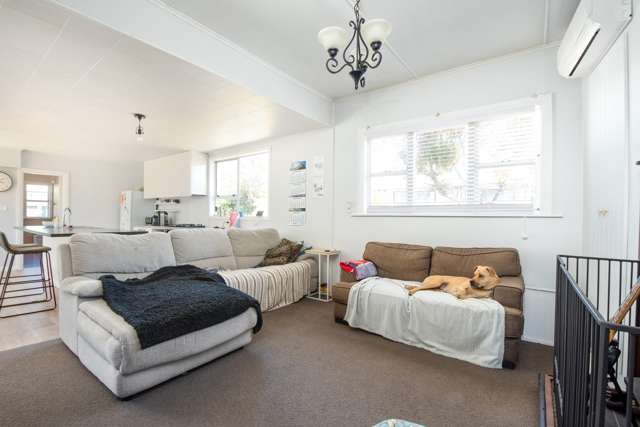 1 Brydon Street Renwick_3