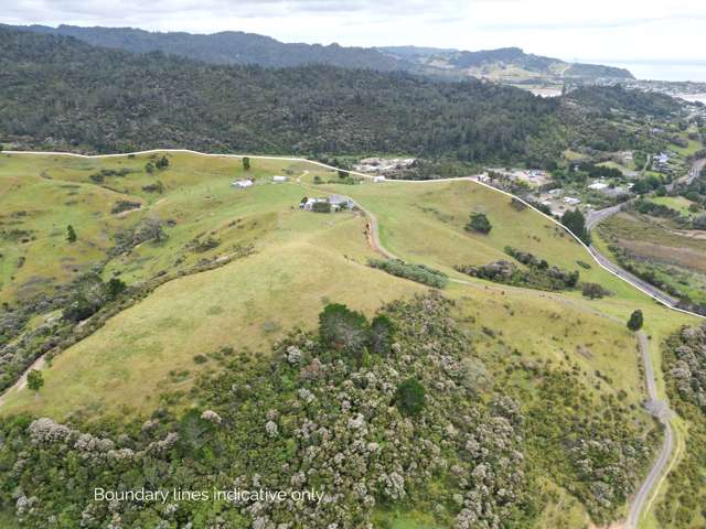 3327 Tairua Sh25 Road Pukepoto_2