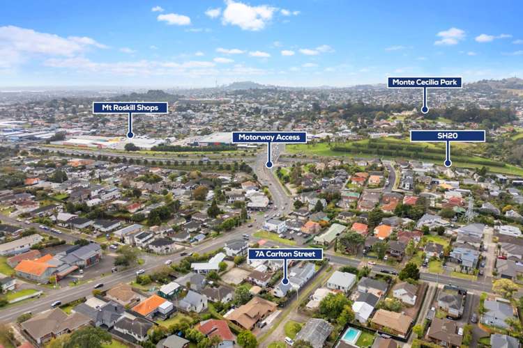 7a Carlton Street Hillsborough_15