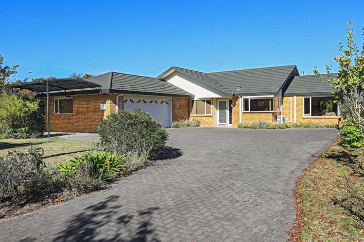 186 Auckland Road Greenmeadows_15
