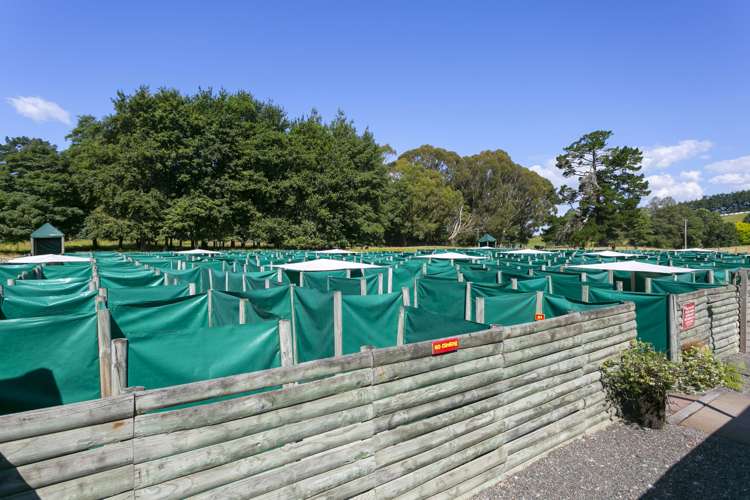 8 Palmer Mill Road Wairakei and Surrounds_12