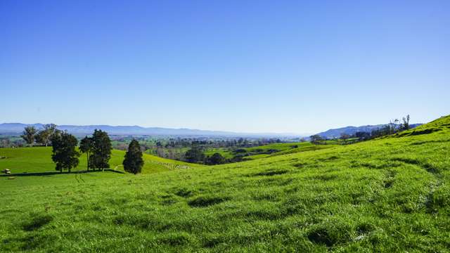 Lot 4, 151 Hill Road Te Aroha_3