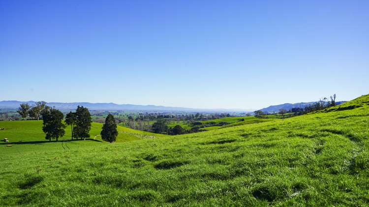 Lot 4, 151 Hill Road Te Aroha_3