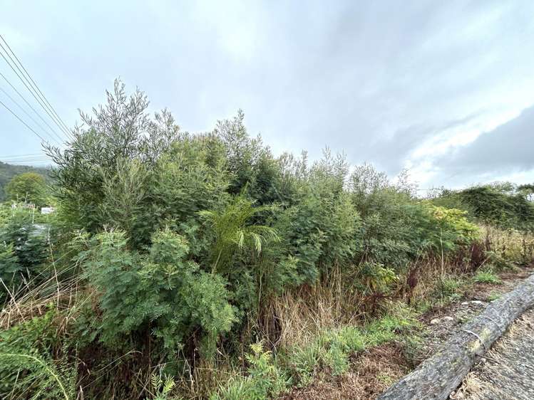 32 Hart Street Blackball_2