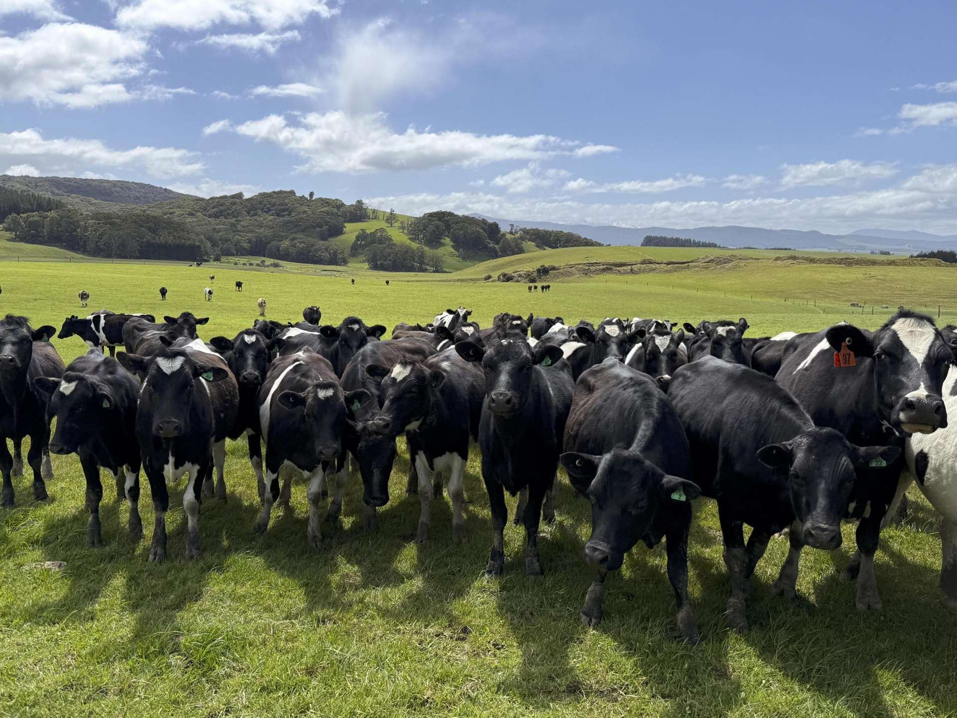 85 Allan Road Otautau_0