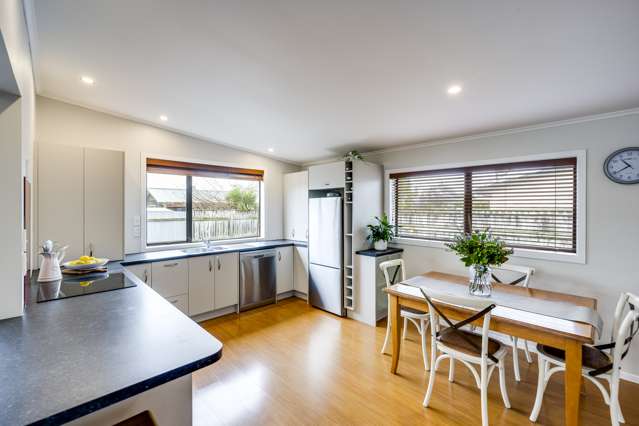 131 Auckland Road Greenmeadows_1