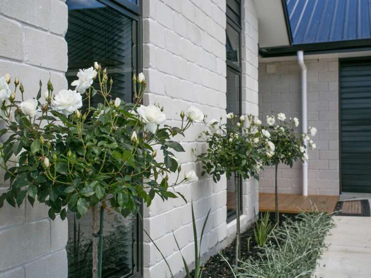 18 Homestead Lane Cambridge_19