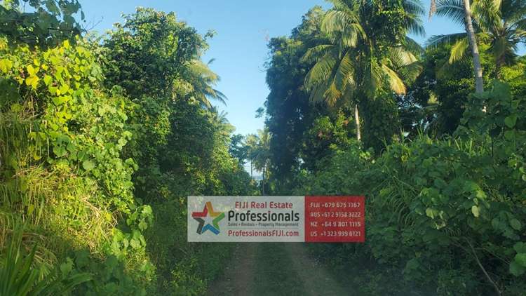 Address withheld Savusavu_33