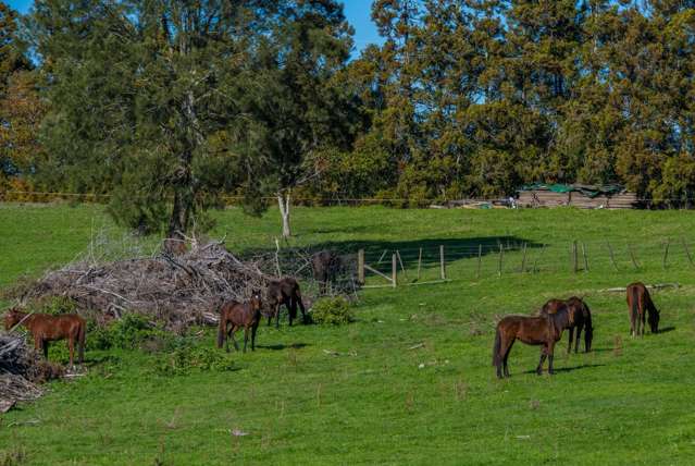 81A Pukekohe East Road Pukekohe_2