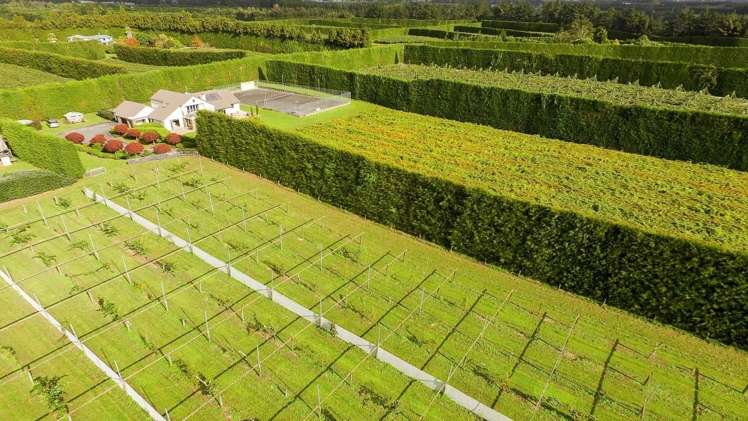 872a Oropi Road Oropi_3