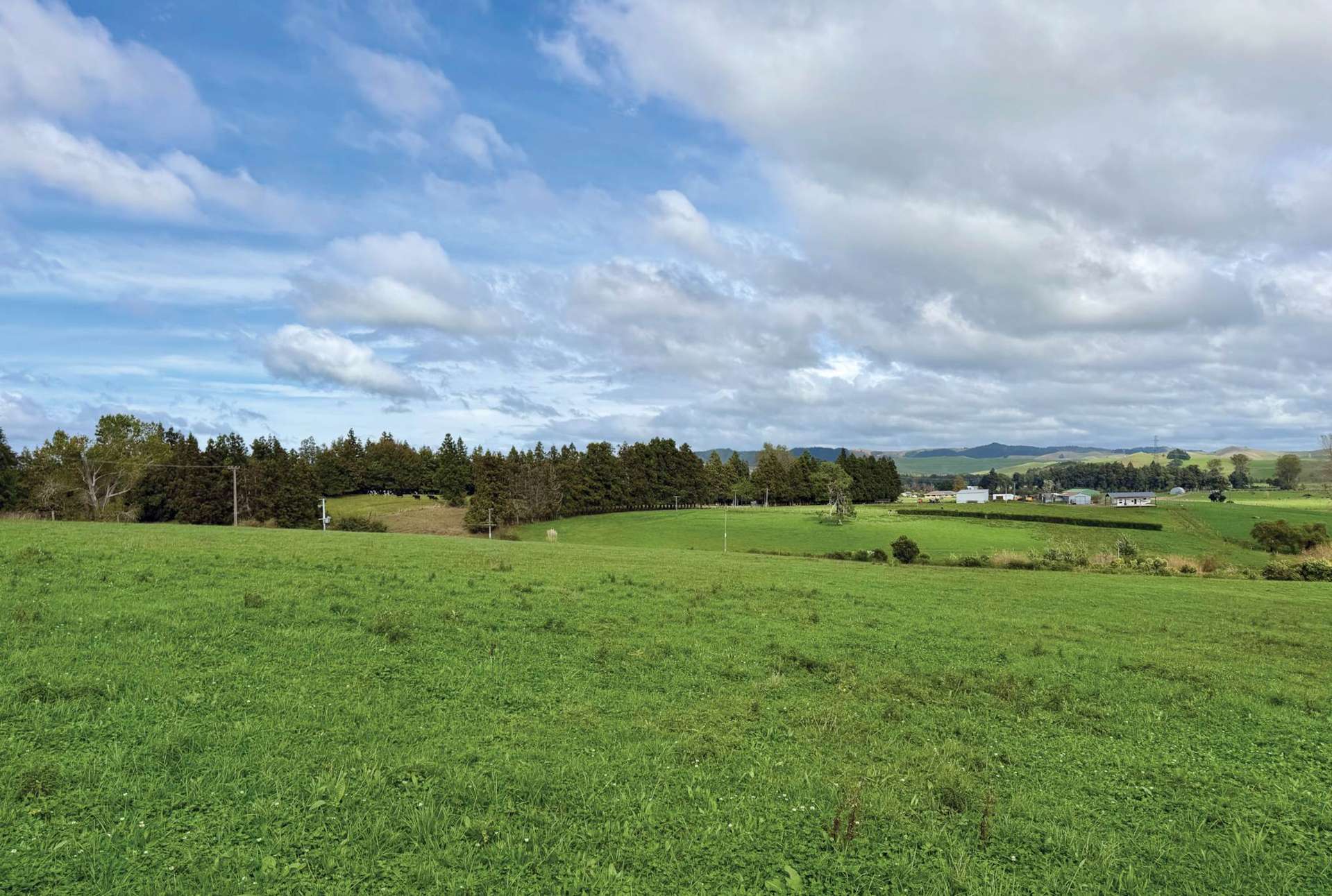 738 Taniwha Road Waerenga_0