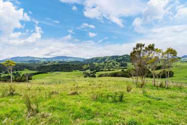 207 Aponga Stream Road_1