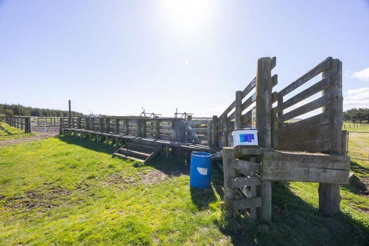 526 Lake Road Himatangi_14