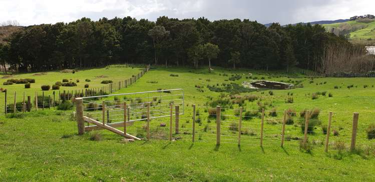 105 Jumna Road Maungaturoto_6