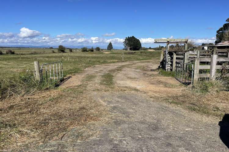 20 Bell Road West Feilding_6