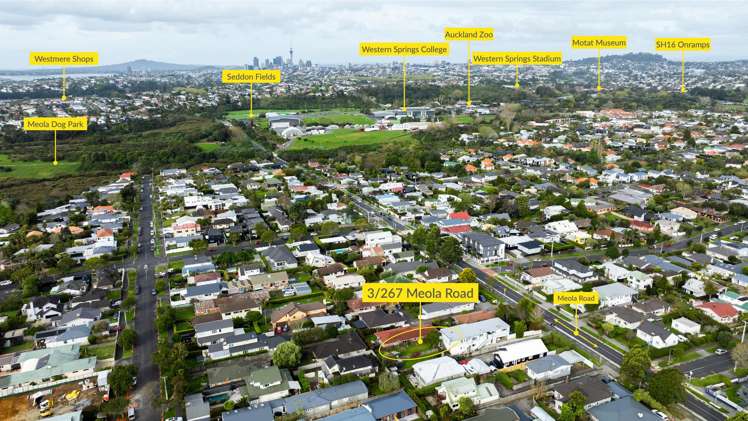 3/267 Meola Road Point Chevalier_22