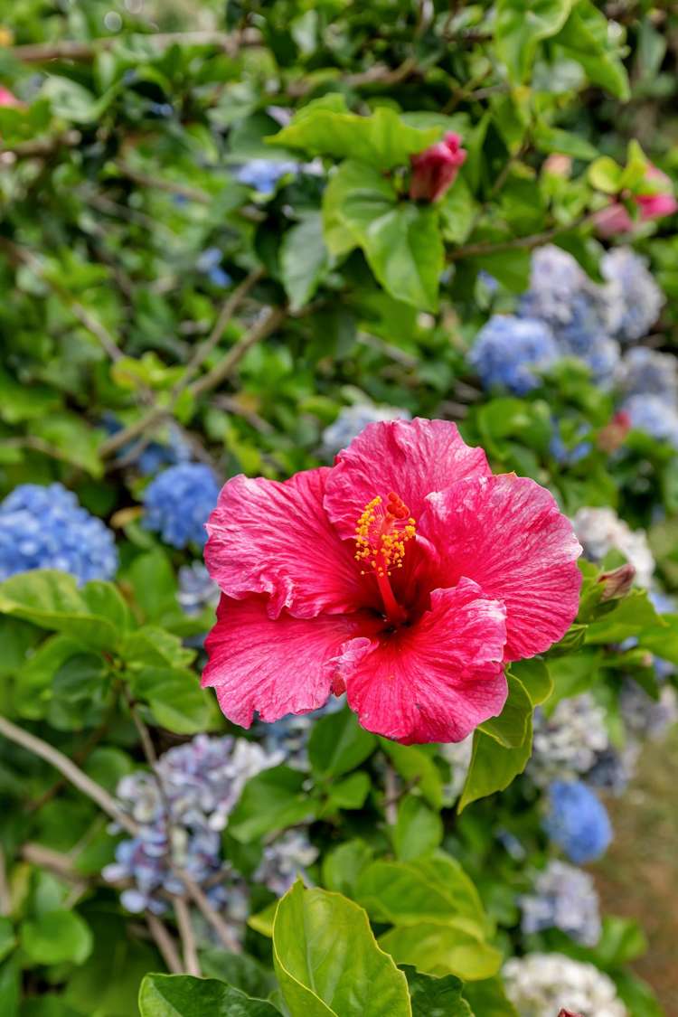 3/318 Western Hills Drive Avenues_19