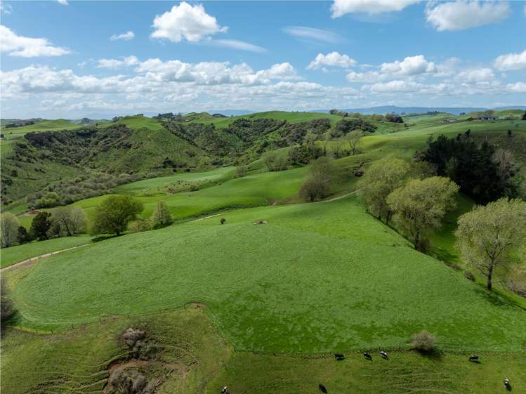 Lot 3/517 State Highway 1 Tirau_12