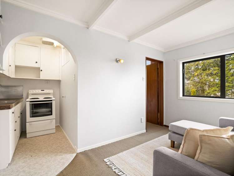 116 London Street Dunedin Central_15