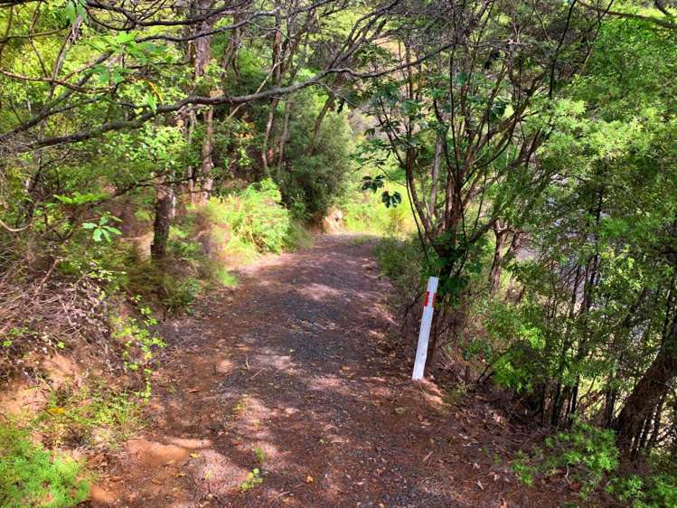 5 Harpoon Hill Great Barrier Island (Aotea Island)_4