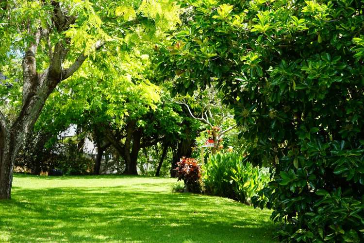 70A Tirimoana Road Te Atatu South_21