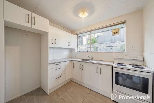 40b Mahoe Street Lower Hutt Central_2