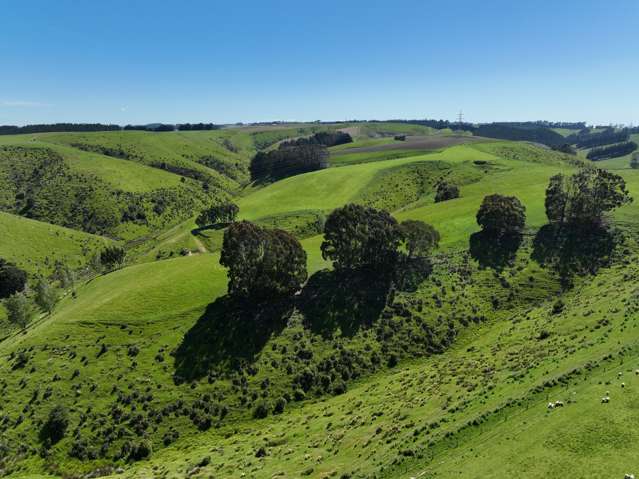 192 Clutha Valley Road Balclutha_4