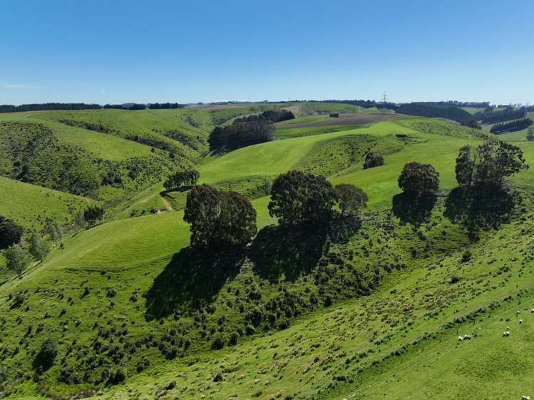 192 Clutha Valley Road Balclutha_4