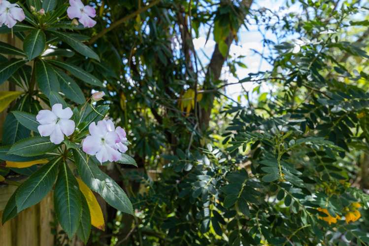 17 Adam Sunde Place Glen Eden_17