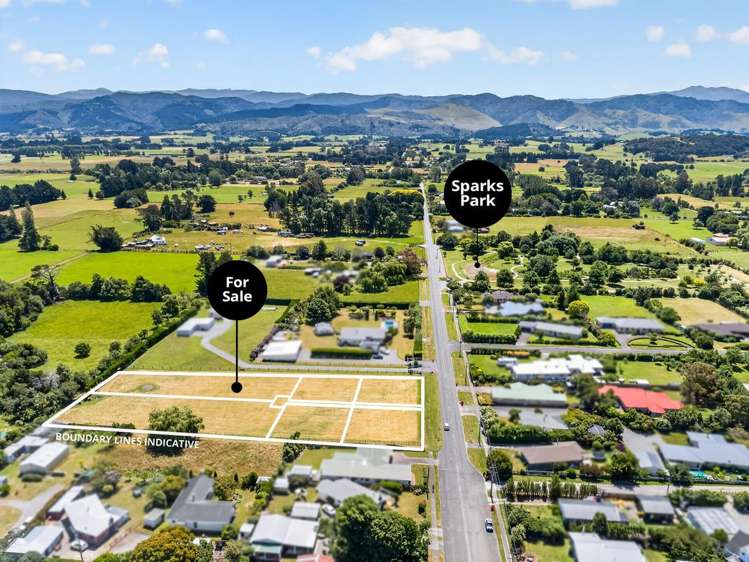 229A Belvedere Road_1