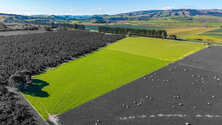 156 Webbs Road Amberley_5