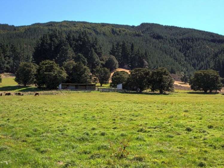 116 Para Road Picton_5