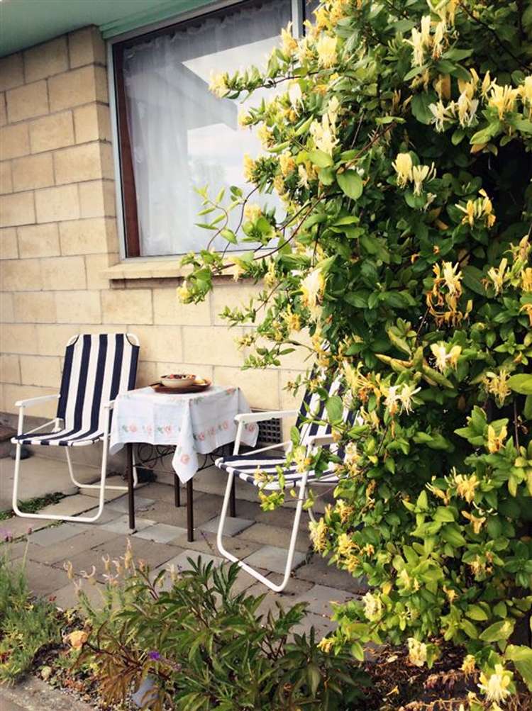 1/65 Wilson Street Seaview_6