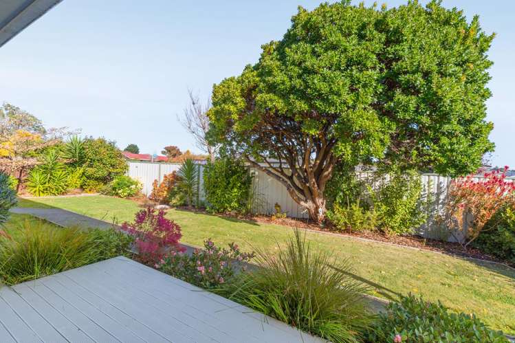 48 Orrick Crescent Avondale_3