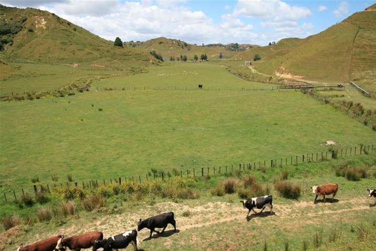 Walter Road Douglas_6