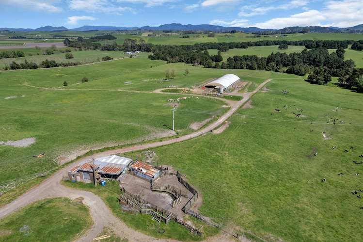 Knight Road Ruatangata_19