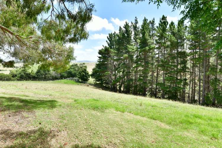 3008 Kaipara Coast Highway Glorit_17