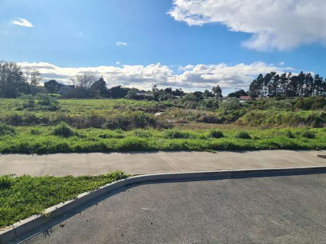 24 Farrell Road Pukekohe_2