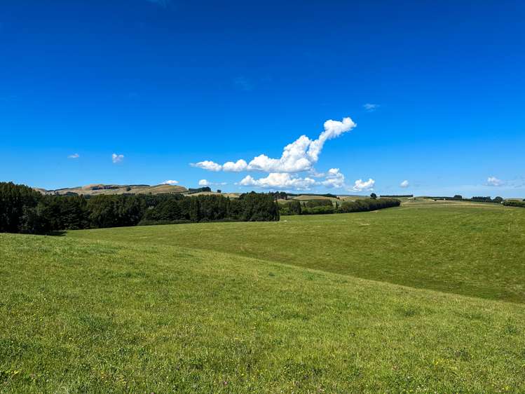 50 Mill Road Gore Surrounds_18