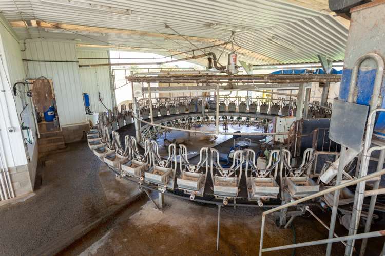 224 Herbert Road Morrinsville_5